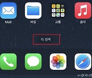 아이폰 첫 화면에 애플검색 등장했는데…네카오는 '규제 올가미'