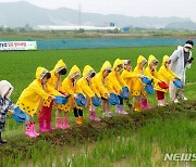 제천 의림지뜰서 우렁이 방사하는 어린이들