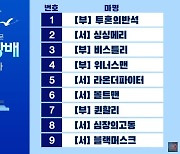 라온더파이터 vs 위너스맨, 부산시장배 7월2일 부경 경마장