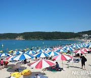 울산지역 2개 해수욕장 7월1일 개장