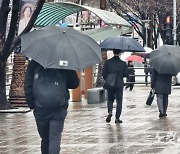 부산 30일 호우 예비특보…시간당 30~60mm 강한 비