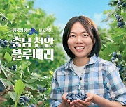 SPC 파리바게뜨 ‘햇블루베리 케이크’ 선보여