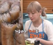 히밥, 1kg 대물 장어에 감탄 "덮고 자도 될 듯..이불 사이즈" [토밥좋아]