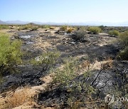 Arizona Wildfire