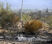 Arizona Wildfire