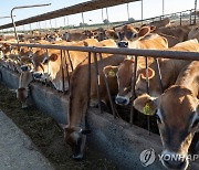 "소분뇨로 친환경에너지 생산" 사기행각 115억원 가로챈 美남성