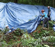 폭우로 인한 토사 유출 방지