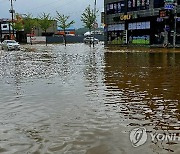 폭우에 잠긴 태안읍 시내 도로