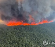 강원소방, 진화대원 33명 캐나다 산불 현장 투입…내달 1일 출국