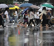 장맛비 내리는 대구