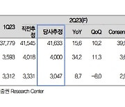 현대차, 우려를 압도하는 실적과 배당…목표가 7.1%↑-대신