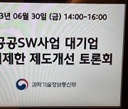 정부, '공공 SW 대기업 참여' 정책 그대로…세부 기준 두고 고민