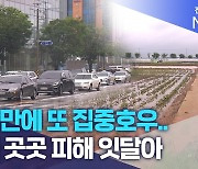 이틀만에 또 집중호우..도내 곳곳 피해 잇달아