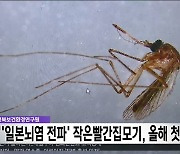 '일본뇌염 전파' 작은빨간집모기, 올해 첫 발견