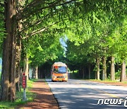 진안군, 농어촌버스 무료이용 대상자 65세 이상으로 확대