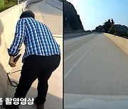 "뱀, 뱀이 내 머리 깨물어"…경춘고속도로 달리는데 독사 '갑툭튀' 경악