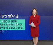 여름철 불청객 '살모넬라균'...주의해야할 점은? [앵커리포트]