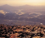 신불산 케이블카 22년만에 첫발… 억새밭 코앞서 내린다