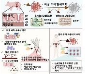 [의학바이오게시판] 자궁 내막 두께 정상화하는 ‘하이드로젤’ 개발 外