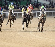 '온라인 마권' 발매 박차...침체된 말산업, 다시 '렛츠런'