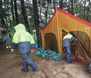 철거되는 제주 야영장 알박기 텐트