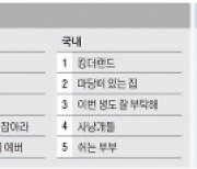 OTT 분야별 TOP5