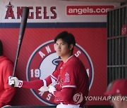 White Sox Angels Baseball