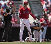 White Sox Angels Baseball