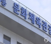 문체부 "정부광고지표 논란 경위 조사 요구…미진하면 감사"