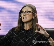 '돈나무 언니'는 테슬라 팔고, '투자달인' 버핏은 옥시덴털 사고