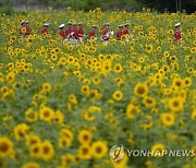 Pictures of the Week Asia Photo Gallery