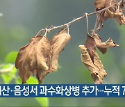 괴산·음성서 과수화상병 추가…누적 77건