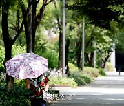 전국 대부분 지역에 폭염특보···서울 최고 34도