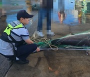 동해는 이제 ‘죠스의 바다’?···속초·양양서 잇단 사체 발견