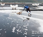 전남도, 염전 노예  재발 방지 위해 제도 개선안 마련