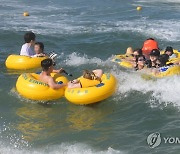 파도가 즐거운 피서객들…경포해수욕장 개장