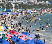 충남 태안·당진·서산도 폭염주의보…보령 '경보' 등 유지