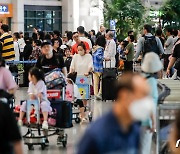 질병청, 공항·항만서 뎅기열 무료 진단검사