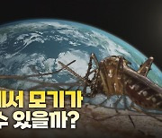 [왓슈] 여름철 불청객 모기, 박멸 가능할까?