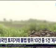 외국인 토지거래 불법 행위 10건 중 1건 '제주'