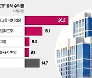 국내 그룹株 ETF 1위는 현대차…올해 26% 올랐다