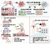 "얇아진 자궁내막 재생"…불임·난임 극복할 방법 나왔다