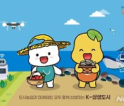 시흥시, 도서관 조직 개편…중앙도서관 집중에서 탈피