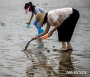 갯벌 체험