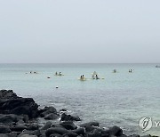 카약 즐기는 제주 피서객