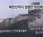 ‘까만 바위’인 줄 알았더니…버글버글 러브버그 언제까지