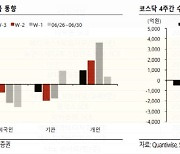 "코스피 조정 대부분 해소…추가 낙폭도 적을 것"