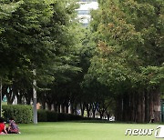 나무 그늘 밑에서 피하는 더위