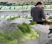 야외활동 증가 꾸준...‘여행·교통’ 온라인쇼핑 거래액 40.3%↑