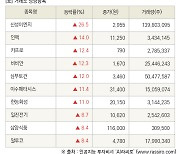 [fnRASSI]장마감, 거래소 상승 종목(신성이엔지 26.5% ↑)